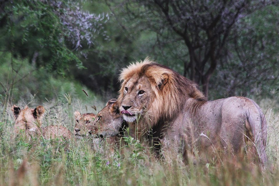 Tarangire, Tanzania