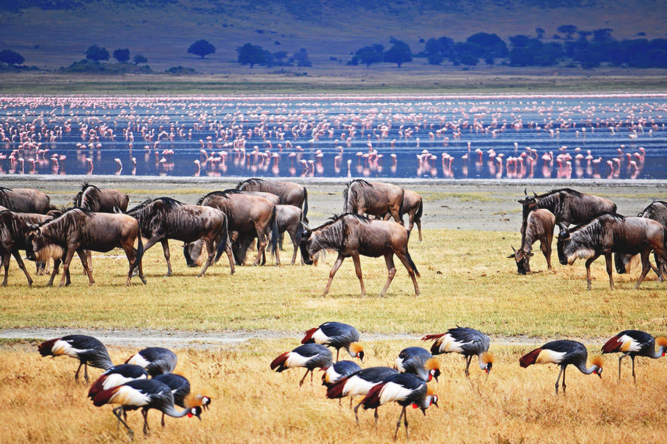 Lake Manyara, Tanzania