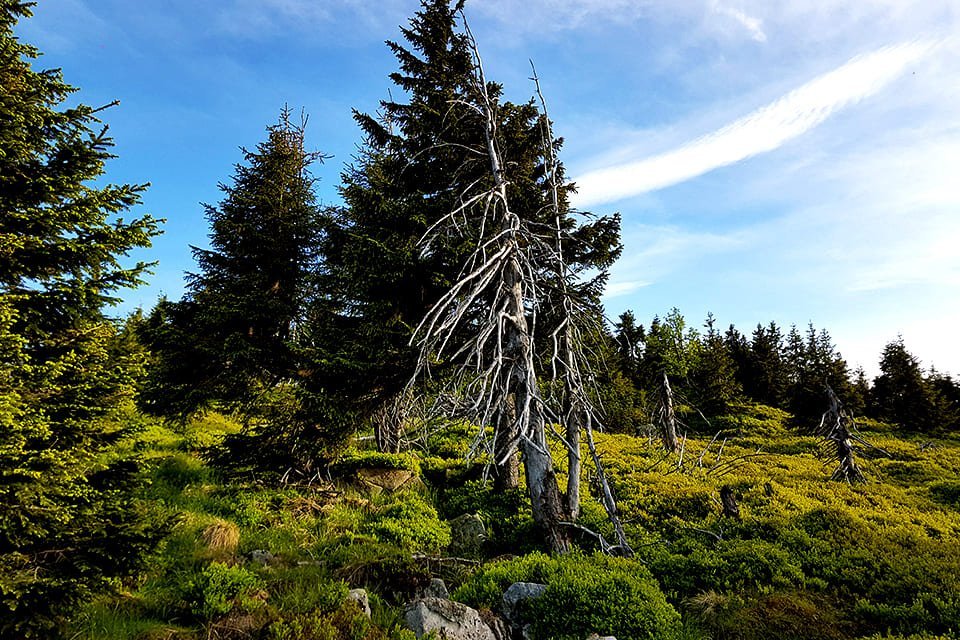 Krkonoše, Tsjechië