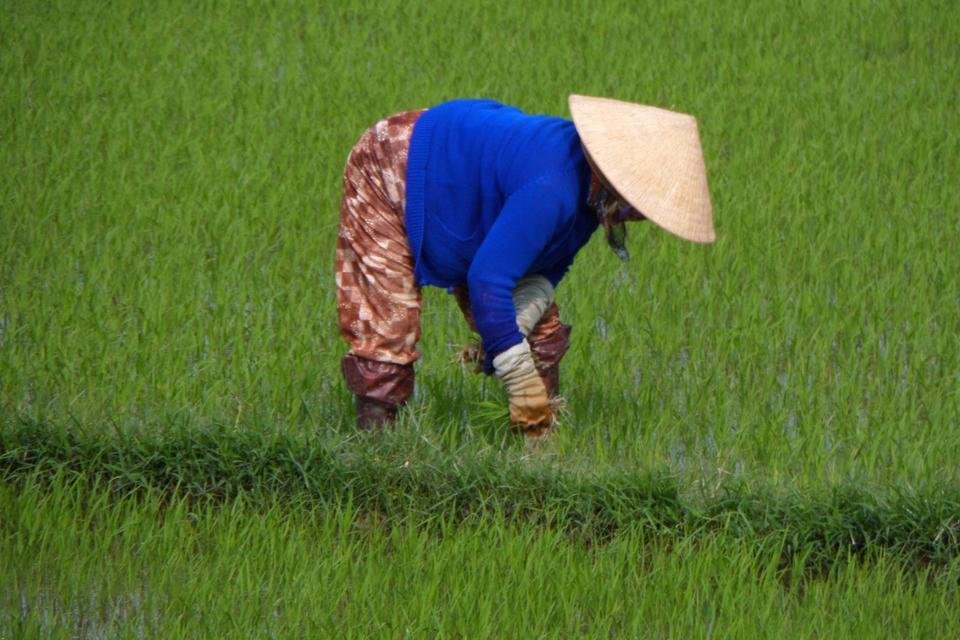 Vietnam