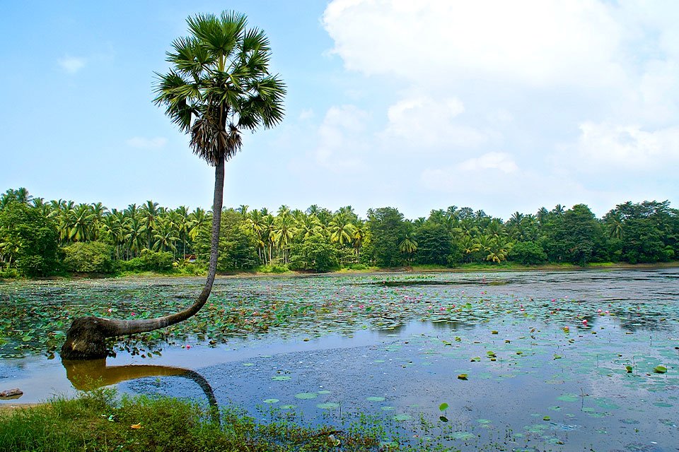Yala National Park, Sri Lanka