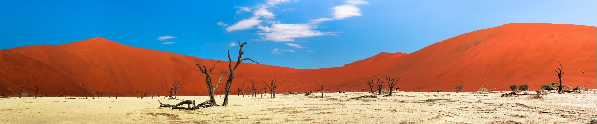 Deadvlei in Namibië