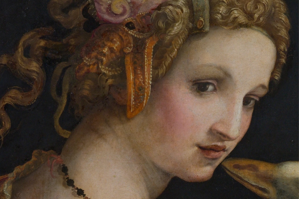 Metamorfosen, Rijksmuseum