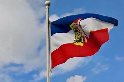 Vlag van Schleswig-Holstein, Duitsland