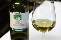Verdicchio-wijn, Italië
