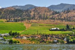 Niagara Peninsula wijngebied