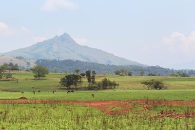 Mlilwane Wildlife Sanctuary, Eswatini