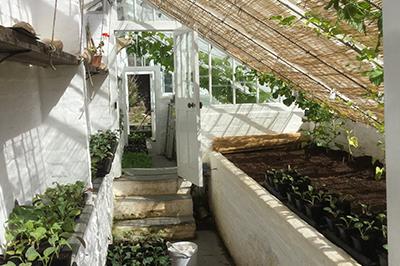 Lost Gardens van Heligan, Groot-Brittannie | Foto: reisleidster Astrid