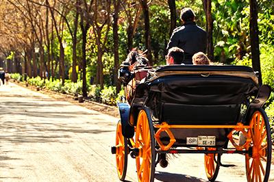 Parque María Luisa Sevilla Spanje