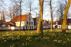 Begijnhof in Brugge, België Begijnhof in Brugge, België