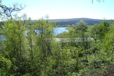 Finland, land van meren en bossen