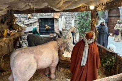 Kerststal Via del Presepe in Gubbio, Italië | Foto: Meneer Van Hulst