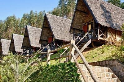 Feony Ala Lodge Feony Ala Lodge