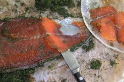 Gravlaks, Noorse zalm Gravlaks, Noorse zalm