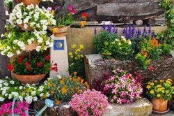 Compostela Compostela