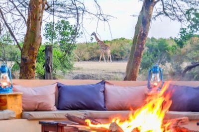 Zebra River Camp, Kenia