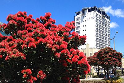 Bay Plaza Hotel in Wellington, Nieuw-Zeeland