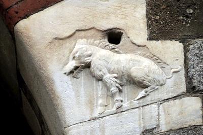 Half behaarde zwijn van Milaan