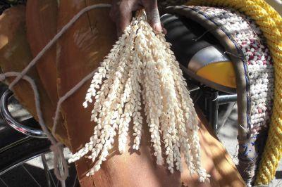 Bloementrossen van mannelijke dadelpalmen | Foto: reisleidster Willy