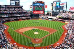 The New York Yankees