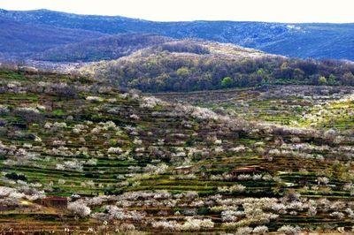 Sierra de Tormantos Sierra de Tormantos