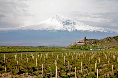 Wijngaard in Armenië voor Chor Virap en Ararat