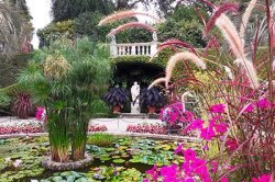 Isola Bella Isola Bella