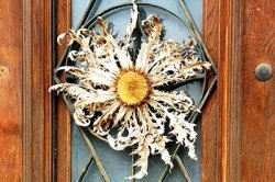 Compostela Compostela