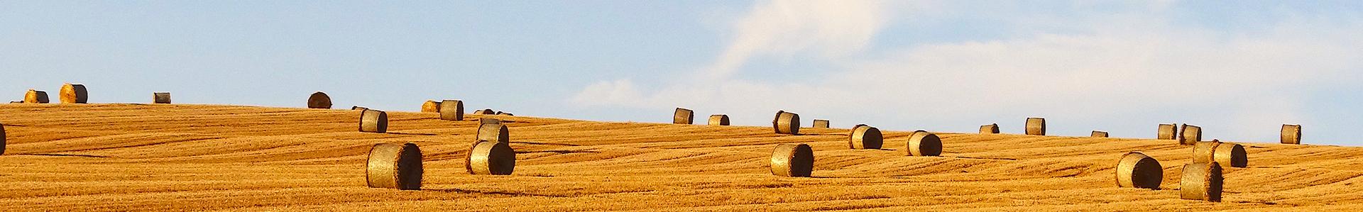 Autovakanties Frankrijk| SRC Reizen