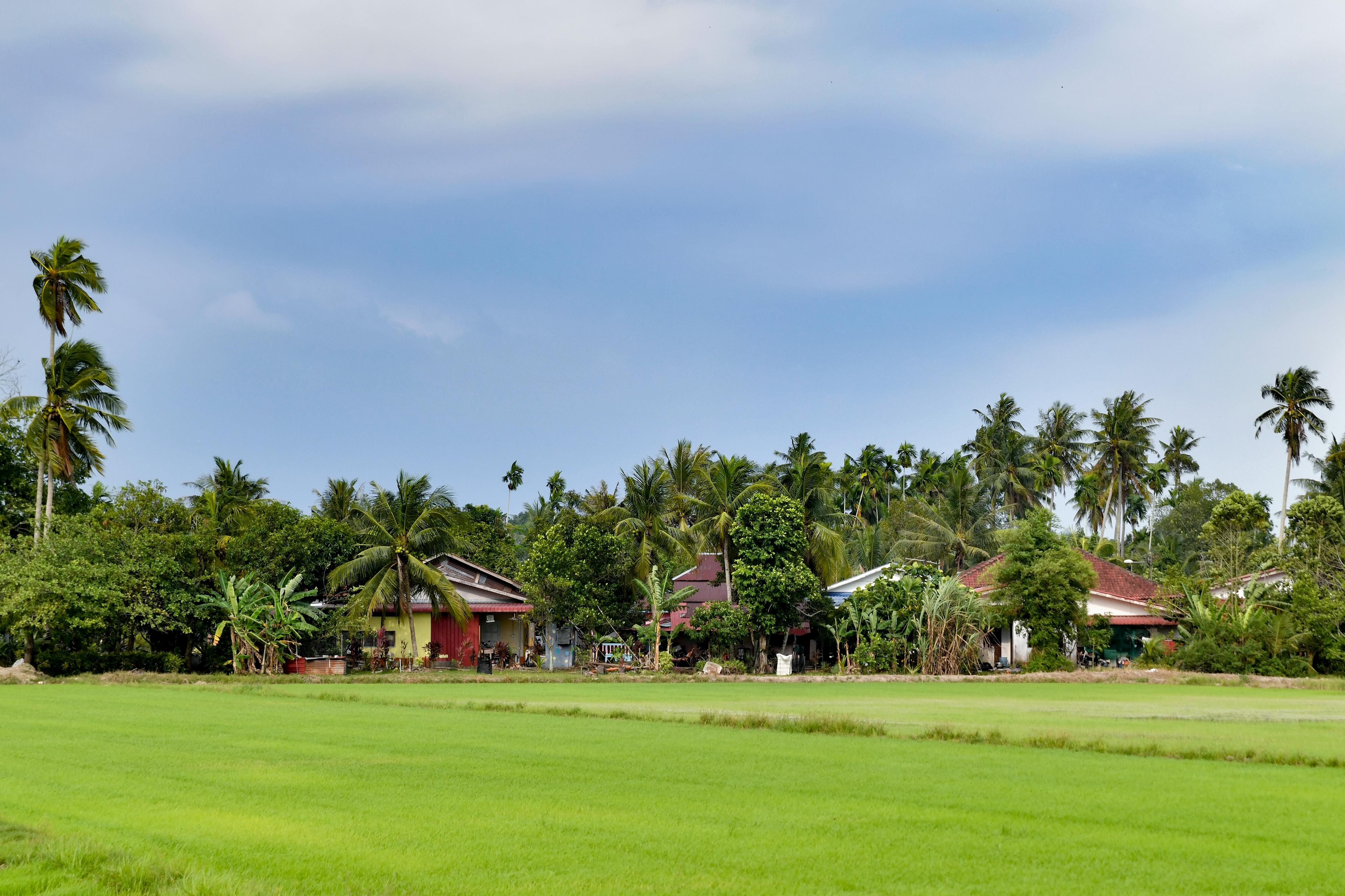 Huisje in Balik Pulau, Maleisië