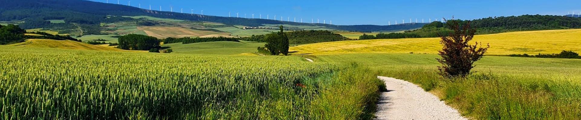 De weg naar Compostela, Spanje