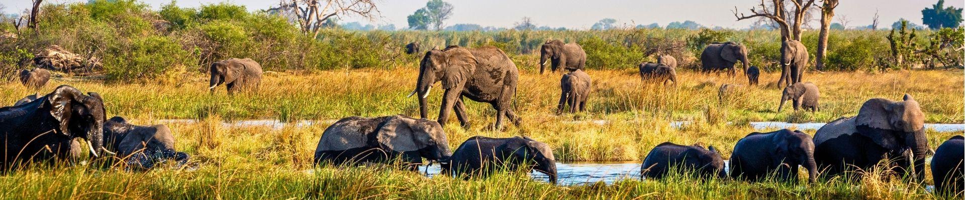 Caprivi-strook in Botswana