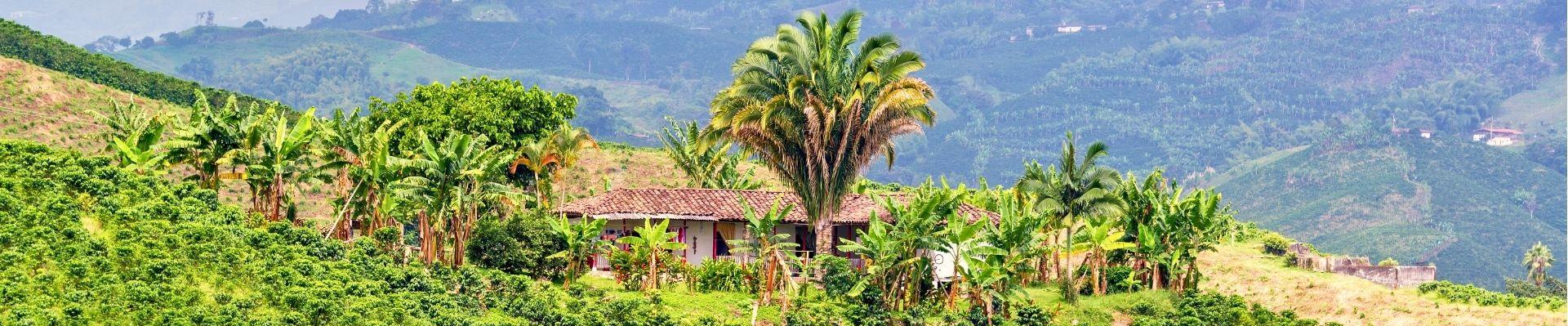 Eje Cafetero in Colombia