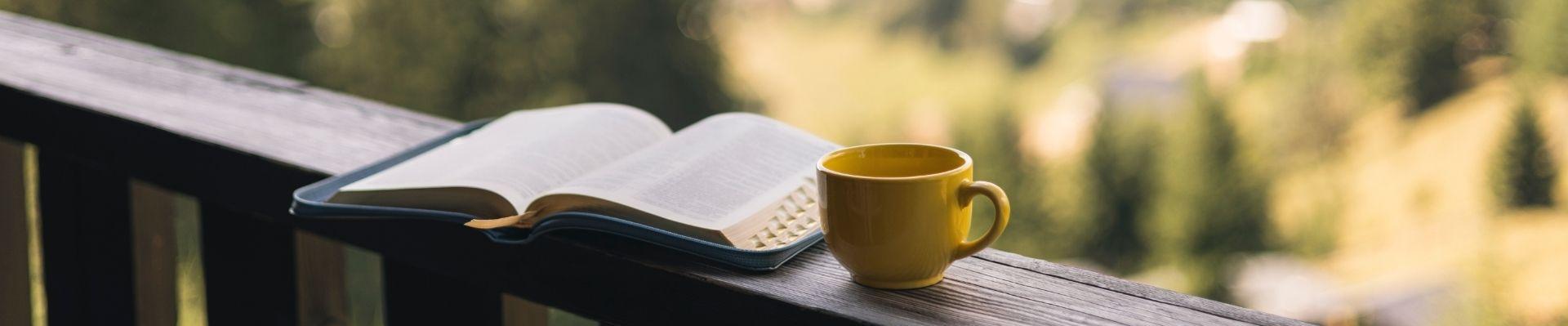 Boekentips Scandinavië