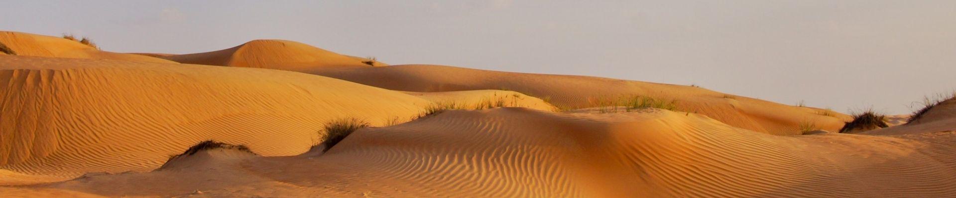 De Wahibawoestijn | Foto: Peter van de Wiel