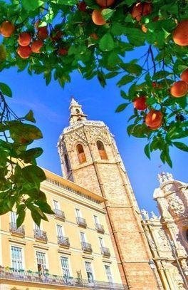Valencia Spanje Valencia Spanje