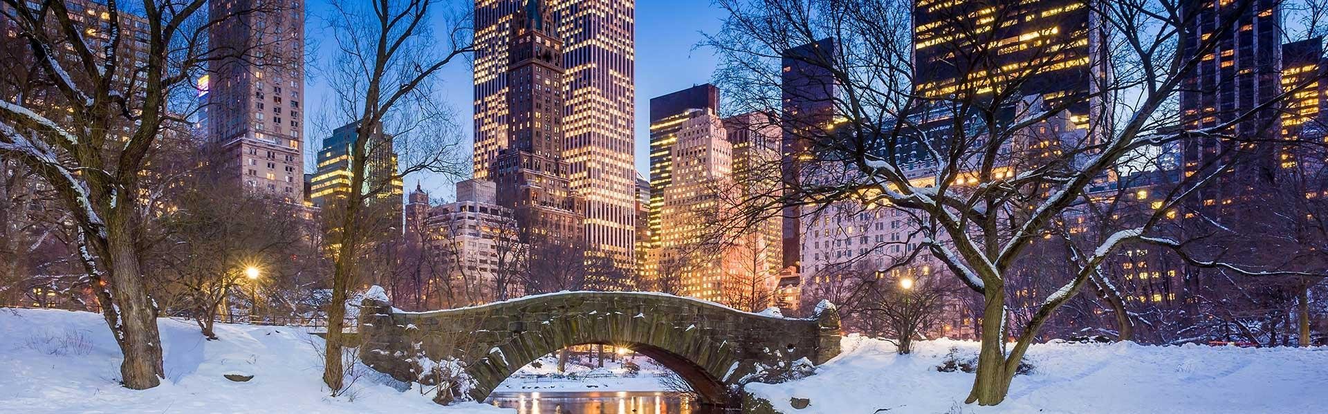 Sneeuw in Central Park, New York, Amerika