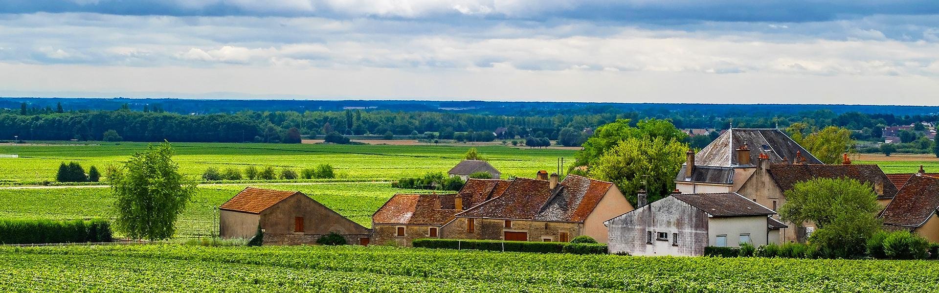 Aloxe Corton in de Bourgogne, Frankrijk