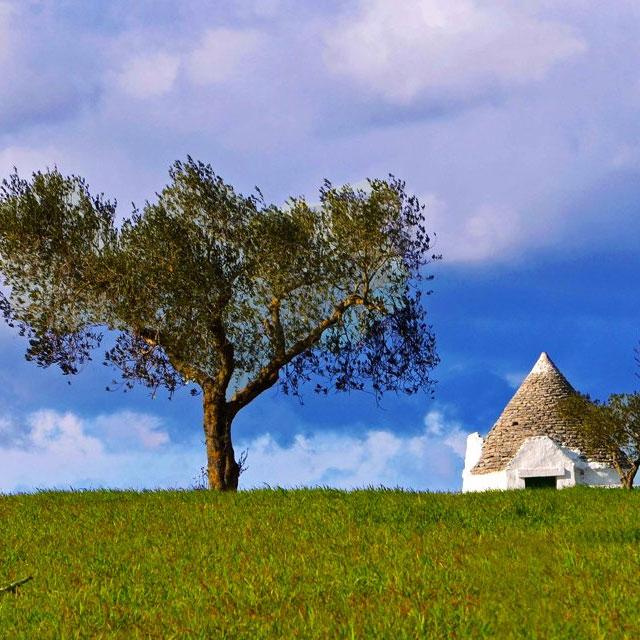 Trulli-huisje in Puglia, Italië