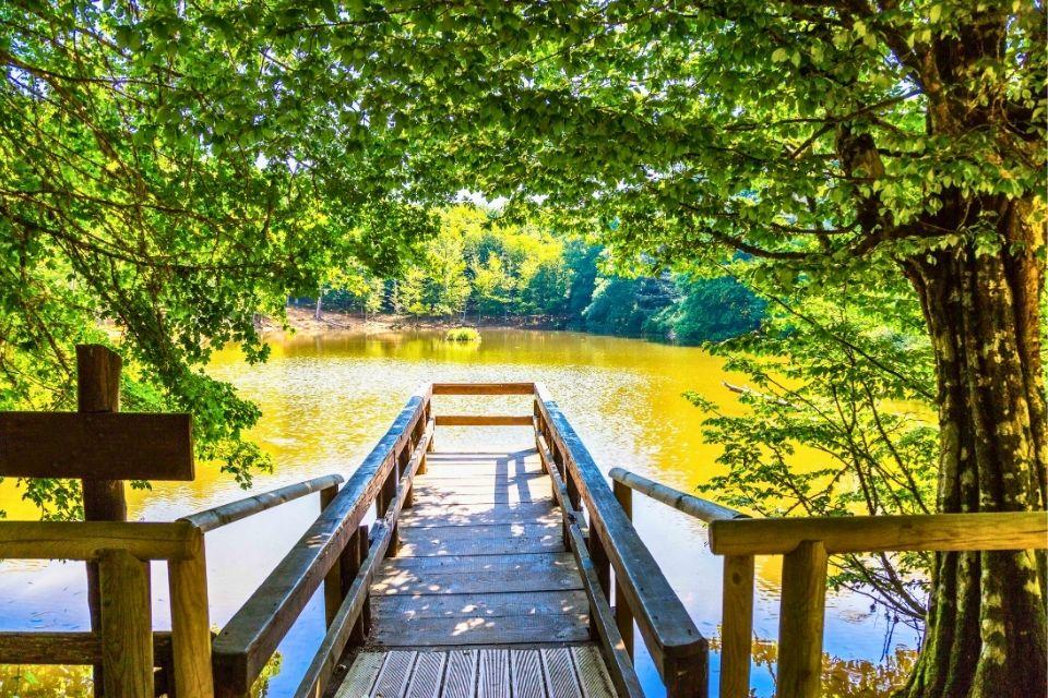 Foresta Umbra in Gargano Nationaal Park, Italië