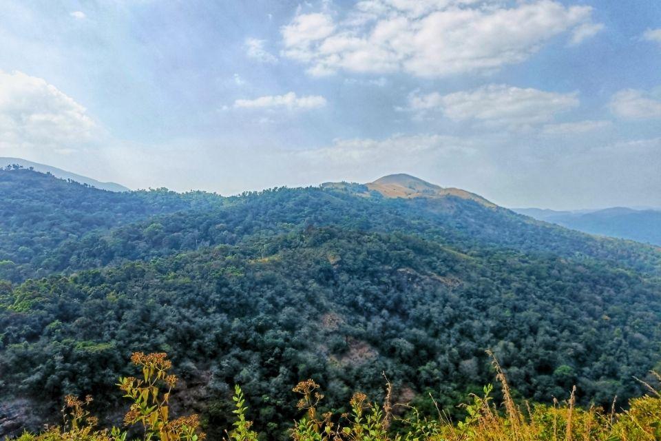 Het groene Coorg in India