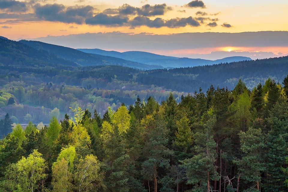 Thüringer Wald in Duitsland