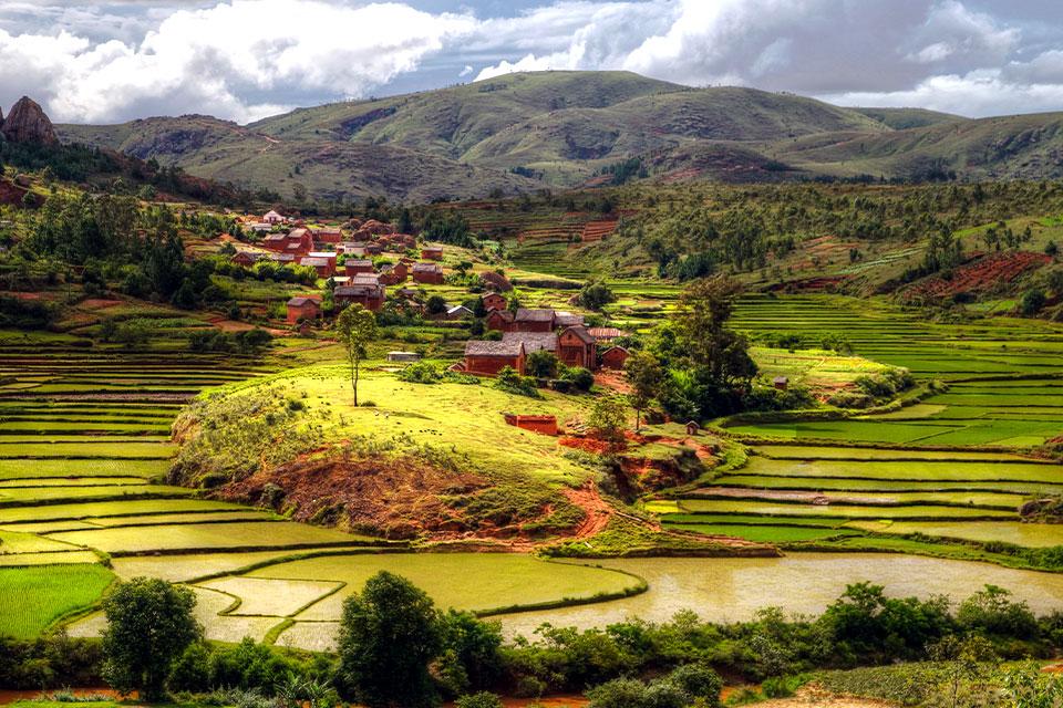 Rijstvelden Madagaskar