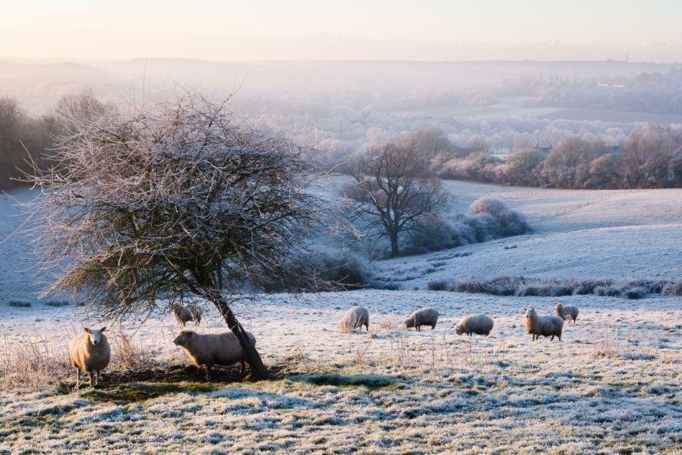 Winters landschap in graafschap Kent Groot-Brittannië
