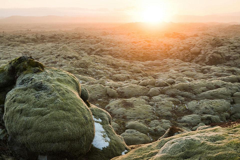 Eldhraun lavaveld IJsland winter