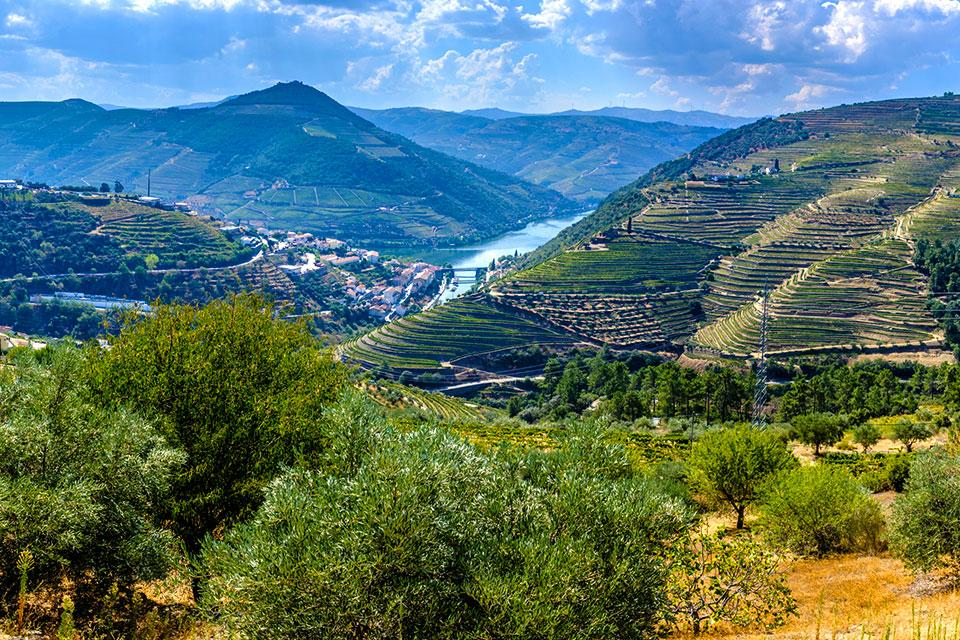 De Douro-vallei in Portugal
