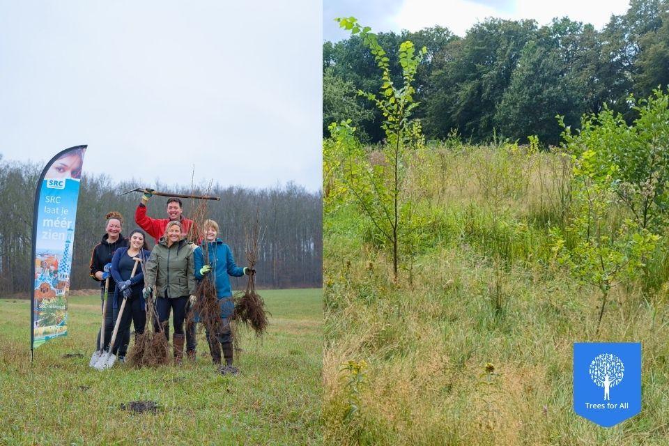 SRC-bos Trees for All