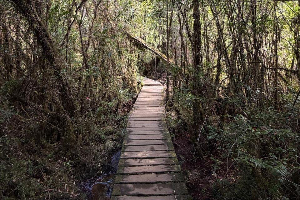 Nationaal Park Pumalin Douglas in het zuiden van Chili