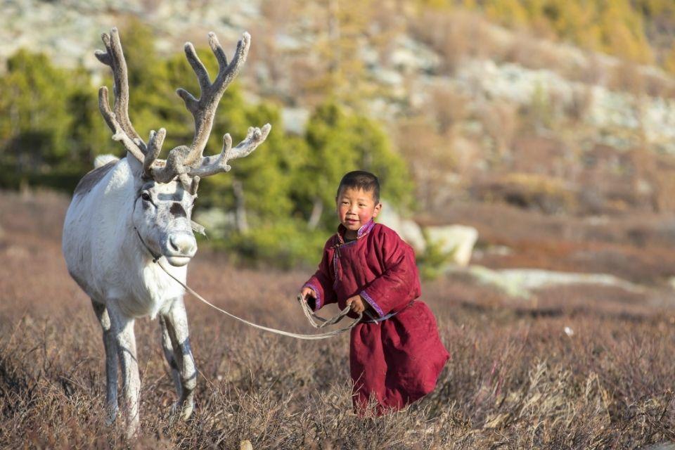 Een Tsaatan-jongetje met een rendier Mongolië