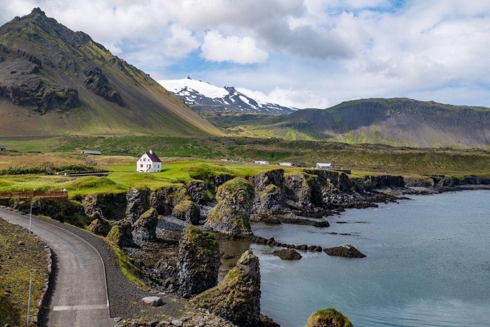 De zeekliffen van Arnarstapi in IJsland